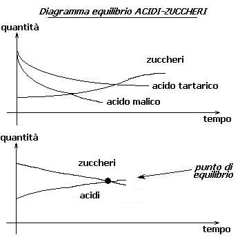 diagramma equilibrio acidi-zuccheri